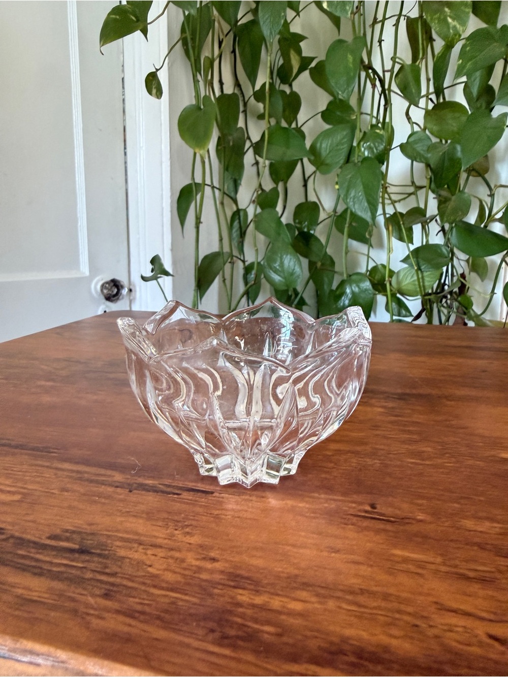 Clear Glass Decorative Bowl - Elegant Home Art Accent